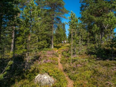 Wandern mit Familien in Schweden Abenteuer