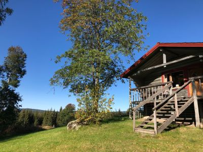 Schweden Abenteuer fr Familien in Holzhtten