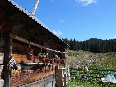 ursprnglichkeit almen bergwelt montenegro 