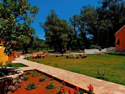 Blick in den groen Garten im Honigtal auf Korfu