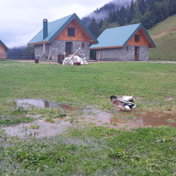 Wandern ohne Gepck in Montenegro: von Alm zu Alm im Nationalpark Bjelasica/Mokra Gebirge 