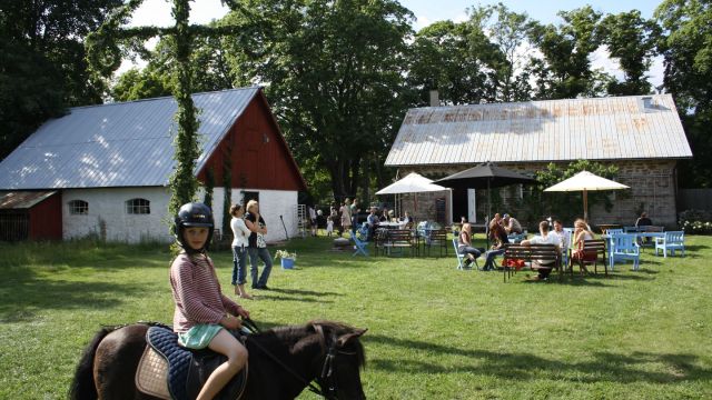 Familienurlaub auf dem Bauernhof auf land - Schweden 