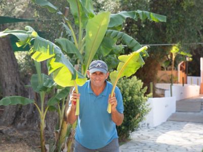 Grtner im Honigtal Korfu