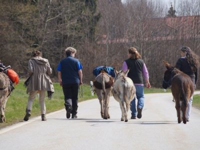 Eselwandern bayerischer Wald Familien mit Kindern Urlaub mit Tieren