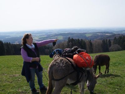 Ausblick Donautal Ruhe Eselwandern