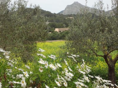 Alternativer Urlaub in der Natur Mallorcas