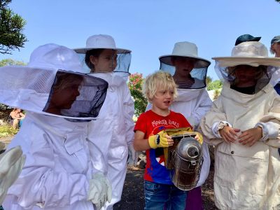 Bienen ganz nah im Kinderprogramm