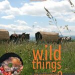 Herbstgewinnspiel; wild things, Kochbuch