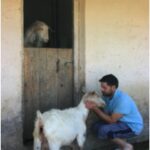 Nikos mit seiner Ziege auf Korfu