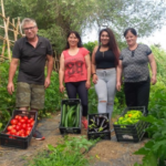Im Honigtal baut Koch Kostas und seine Familie Gemüse im eigenen Garten an.
