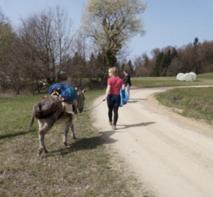 Slow Travel - das kann man von den Eseln lernen. 