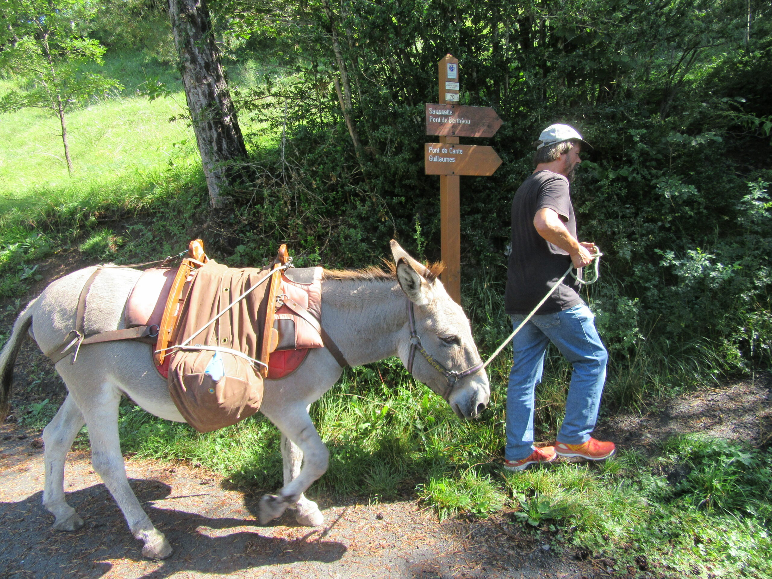 Eselwandern im Nationalpark Mercantour