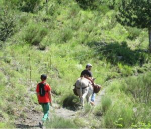 Eselwandern im Nationalpark Mercantour