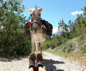 Kurze Pause für Mensch und Esel beim Eseltrekking