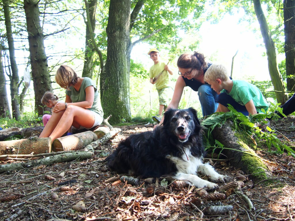 Hund und Familie im Wald