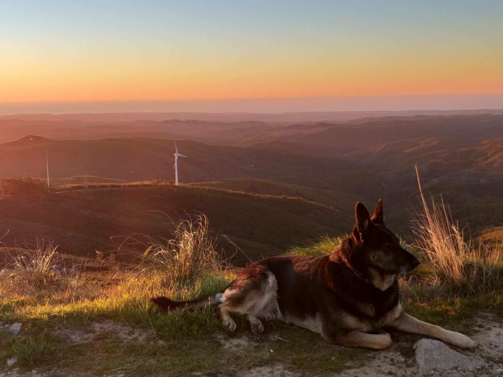 Wanderurlaub mit Hund