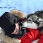 Huskey freut sich und leckt seinen Besitzer ab