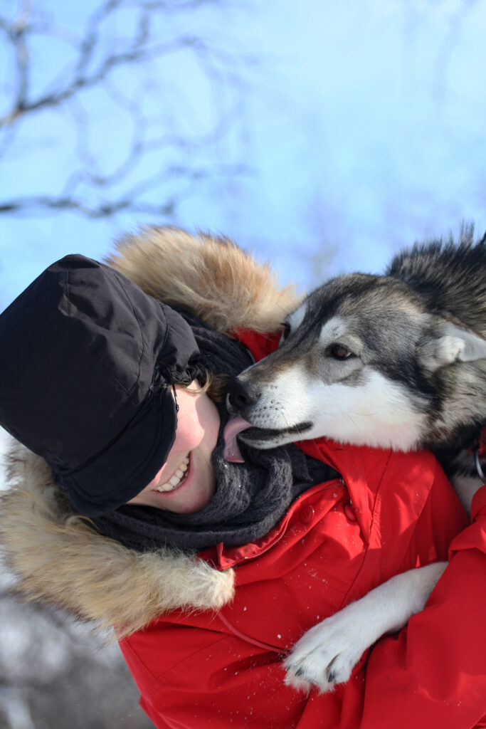 Huskey freut sich und leckt seinen Besitzer ab