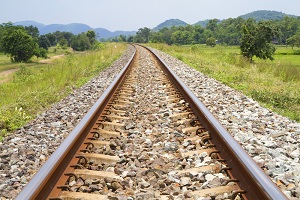 Eisenbahnschienen umgeben von Natur