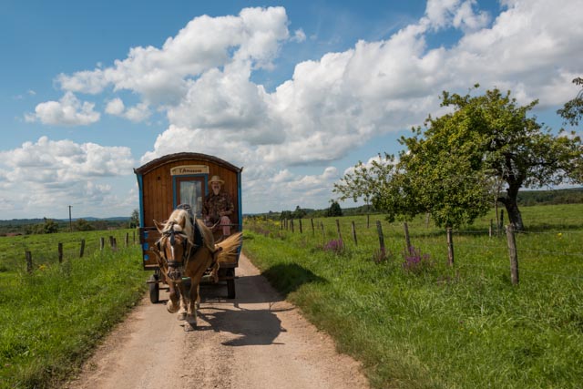 Mit dem Pferdewagen durch die grüne Landschaft der Vogesen