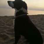 uendin Bella zum Sonnenuntergang am Strand von Marathias
