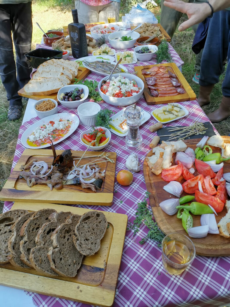 Picknick aus regionalen Köstlichkeiten