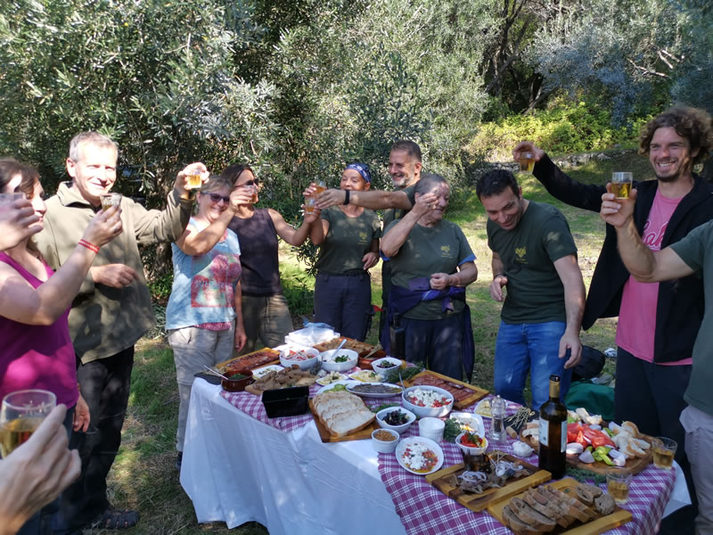Reise zur Olivenernte auf Korfu