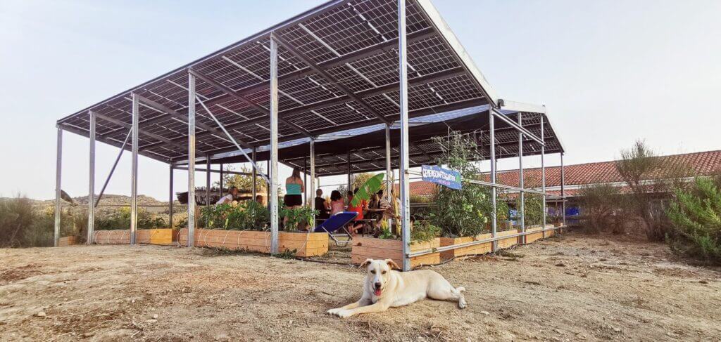 hund atmosfair sunfarming villa kalimeera photovoltaik korfu