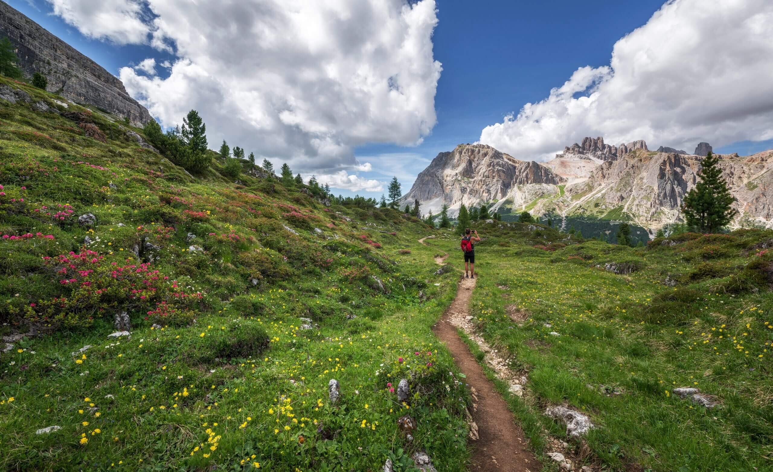 Wandern in den Alpen