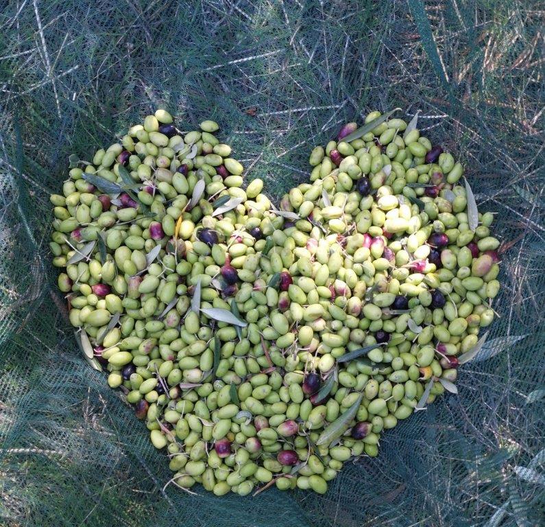Herz aus Oliven