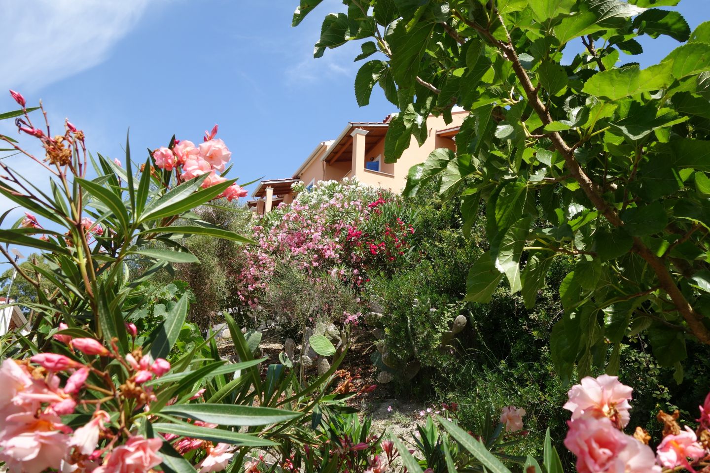 Schnappschuss im Haupthaus