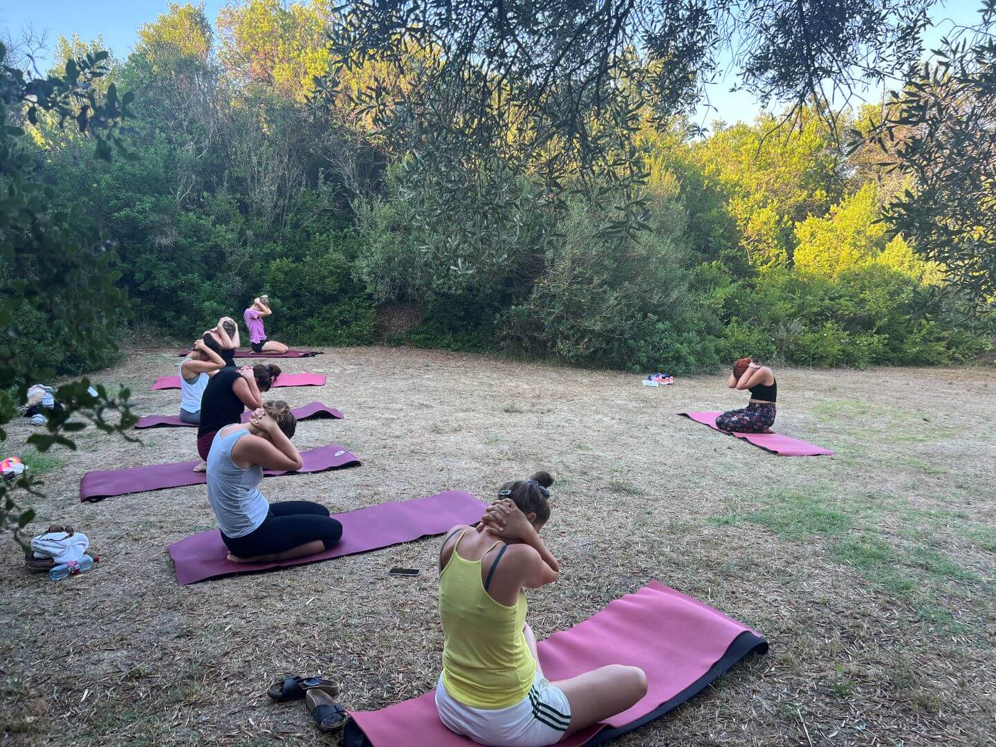 Yoga im Olivenhain auf Korfu