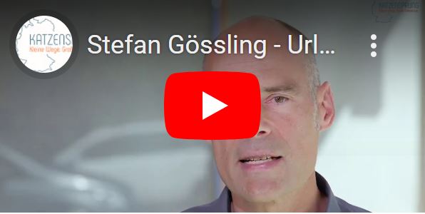 Video KATZENSPRUNG Stefan Gssling