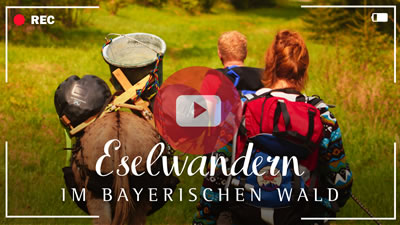 Video: Eselwandern im Bayerischen Wald