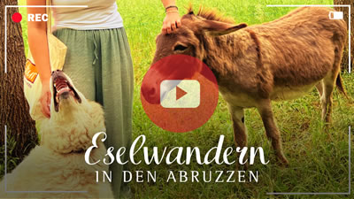 Video Eselwandern in den Abruzzen