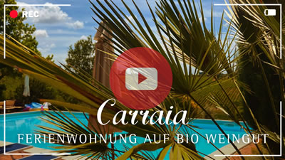 Video Weingut Toskana - Ferienwohnung Carraia