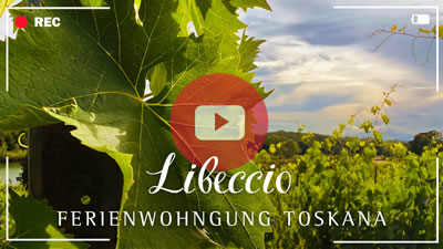 Video Weingut Toskana - Ferienwohnung Libeccio