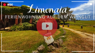 Video Weingut Toskana - Ferienwohnung Limonaia