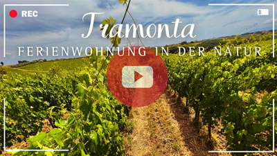 Video Weingut Toskana - Ferienwohnung Tramontana