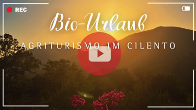 Video zum Agriturismo im Cilento