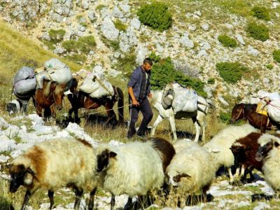 Sdalbanien Hirte mit Herde Wanderung Berge