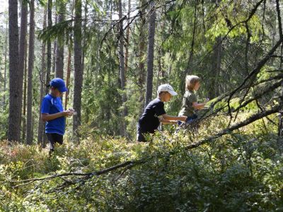 Pausenzeit Kindertraum Schweden