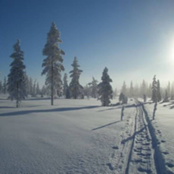 Familienurlaub in Schwedens Lappland - Winterabenteuer am Polarkreis