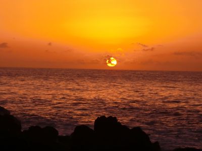 whale watching reise la gomera sonnenuntergang