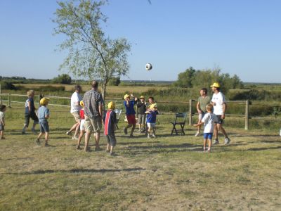 urlaub kinderprogramm frankreich camargue