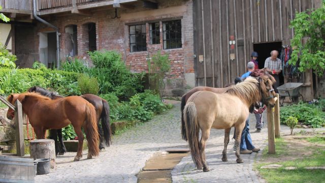 Bio-Bauernhof fr Familien mit Kindern Niedersachsen