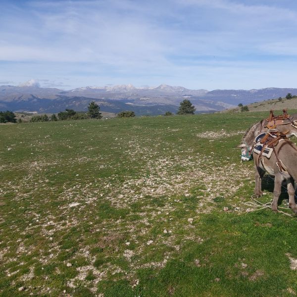 Eselwandern in den Abruzzen: Trekking-Abenteuer in Italien