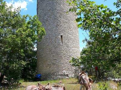 esel vor wehrturm goriano valli