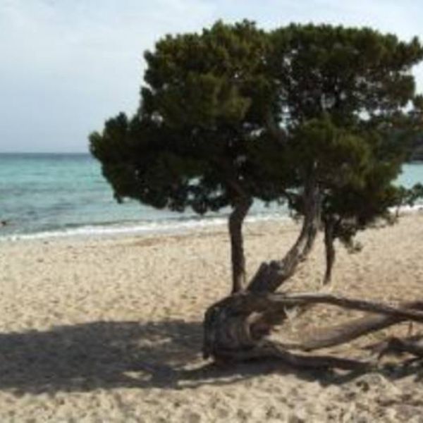 Agriturismo auf Sardinien - Urlaub zwischen Bergen und Meer