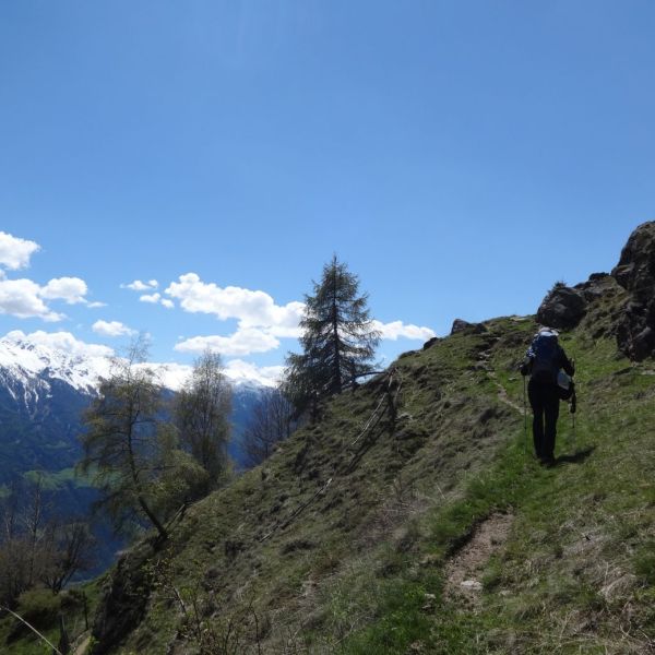 Von Reschen nach Meran - Familien-Wanderwoche in Sdtirol - Norditalien